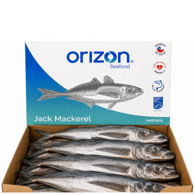 *frozen horse mackerel 500-900cl 20kg