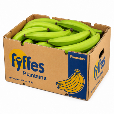 Fresh green banana 50lbs.banacol