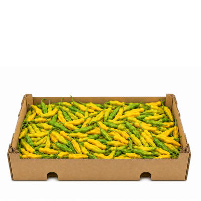 Fresh surinaamse peper 1kg. madam jeannette