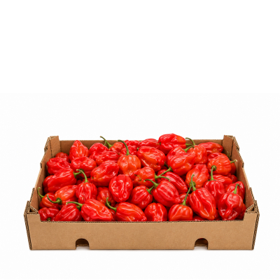 Fresh surinaamse peper 1kg. red