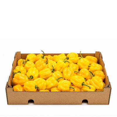 Fresh surinaamse peper 1kg. yellow